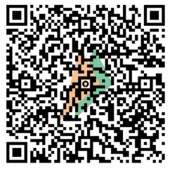 UPI QR Code
