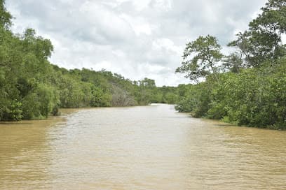 Bhitarkanika National Park and Wildlife Sanctuary